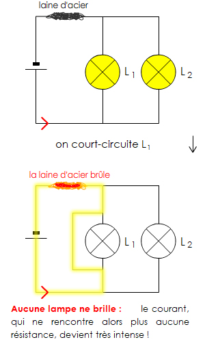 Court circuit pluriel