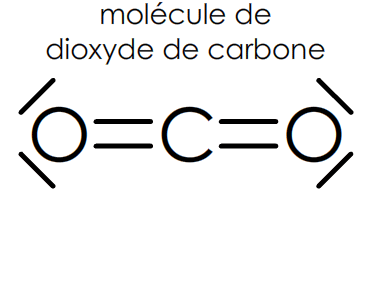 verifier la règle du duet dans la molécule de dioxyde de carbone CO2