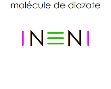 verifier la règle du duet dans la molécule de diazote N2