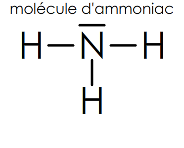 verifier la règle du duet dans la molécule d'ammoniac NH3