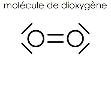 verifier la règle du duet dans la molécule de dioxygène O2